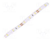 LED tape; white neutral; 2835; 12V; LED/m: 60; 8mm; white PCB; IP20 WISVA OPTOELECTRONICS