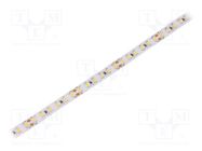 LED tape; white warm; 2835; LED/m: 120; 10mm; white PCB; IP20; 24W/m WISVA OPTOELECTRONICS