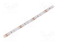 LED tape; white warm; 2835; LED/m: 60; 10mm; white PCB; IP20; 12W/m WISVA OPTOELECTRONICS