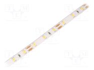 LED tape; white warm; 2835; LED/m: 60; 8mm; white PCB; IP65; 12W/m WISVA OPTOELECTRONICS