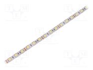 LED tape; white cold; 5050; 12V; LED/m: 60; 10mm; white PCB; IP20 WISVA OPTOELECTRONICS