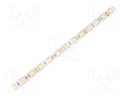 LED tape; white neutral; 5050; LED/m: 60; 10mm; white PCB; IP20 WISVA OPTOELECTRONICS