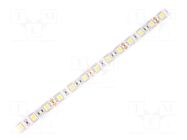LED tape; white neutral; 5050; LED/m: 60; 10mm; white PCB; IP20 WISVA OPTOELECTRONICS