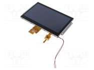 Display: TFT; 7"; 1024x600; Illumin: LED; Dim: 170x110x9mm; 3÷3.6VDC DISPLAY ELEKTRONIK