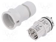 Connector: circular; plug; RST; female; PIN: 3; silver plated; 20A WIELAND