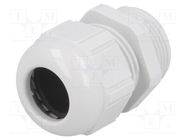 Cable gland; PG21; IP68; polyamide; light grey LAPP