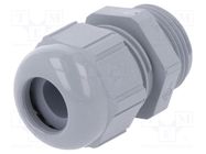 Cable gland; PG13,5; IP68; polyamide; dark grey LAPP