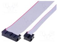 Ribbon cable with IDC connectors; Tape ph: 1.27mm; 0.3m AMPHENOL