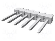 Connector: wire-board; socket; male; PIN: 6; THT; MTA-100; straight TE Connectivity