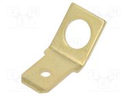 Terminal: flat; 6.3mm; 0.8mm; male; M5; screw; brass; angled 45° OSTERRATH