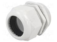 Cable gland; PG63; IP65; polyamide; grey RAYCHEM RPG