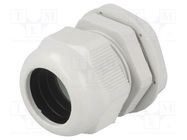 Cable gland; PG29; IP65; polyamide; grey RAYCHEM RPG