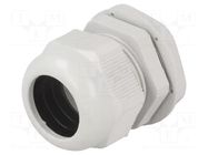 Cable gland; PG29; IP65; polyamide; grey RAYCHEM RPG