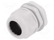 Cable gland; PG21; IP65; polyamide; grey RAYCHEM RPG