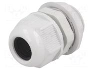 Cable gland; PG13,5; IP65; polyamide; grey RAYCHEM RPG