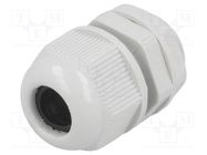 Cable gland; PG11; IP65; polyamide; grey RAYCHEM RPG