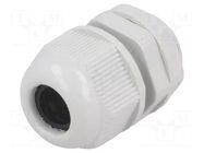 Cable gland; PG11; IP65; polyamide; grey RAYCHEM RPG