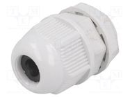 Cable gland; PG9; IP65; polyamide; grey RAYCHEM RPG