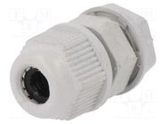 Cable gland; PG7; IP65; polyamide; grey RAYCHEM RPG