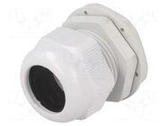 Cable gland; M40; 1.5; IP65; polyamide; grey RAYCHEM RPG