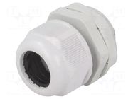 Cable gland; M32; 1.5; IP65; polyamide; grey RAYCHEM RPG