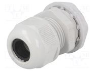 Cable gland; with long thread; M25; 1.5; IP65; polyamide; grey RAYCHEM RPG