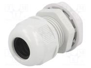 Cable gland; M25; 1.5; IP65; polyamide; grey RAYCHEM RPG