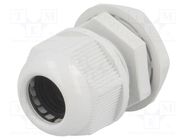 Cable gland; M20; 1.5; IP65; polyamide; grey RAYCHEM RPG