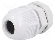 Cable gland; M16; 1.5; IP65; polyamide; grey RAYCHEM RPG