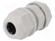 Cable gland; M12; 1.5; IP65; polyamide; grey RAYCHEM RPG