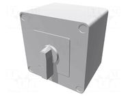 Switch: cam switch; Stabl.pos: 2; 40A; 0-1; in housing; Poles: 4 LOVATO ELECTRIC