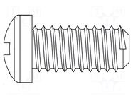 Screw; M6x10; 1; Head: cheese head; Phillips; polyamide; ISO 7045 DREMEC