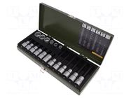 Wrench-set; socket bits,spline (12-angles); 1/2"; 18pcs. PROXXON