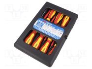 Kit: screwdrivers; insulated; 1kVAC; Phillips,slot; plastic box 