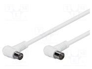 Cable; 2.5m; white; 75Ω Goobay