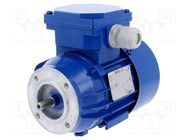 Motor: AC; 3-phase; 0.06kW; 230/400VAC; 1400rpm; IP54; -30÷60°C 