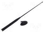 Antenna; automotive; AM,FM; Ford 4CARMEDIA