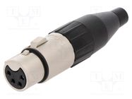 Connector: XLR; plug; female; PIN: 4; straight; for cable; soldering AMPHENOL