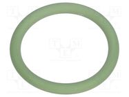 O-ring gasket; FPM; Thk: 1.8mm; Øint: 19mm; NPT1/2"; green 