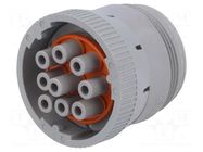 Connector: circular; plug; female; HD10; for cable; PIN: 9 DEUTSCH