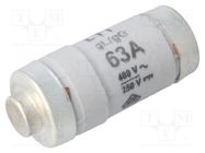 Fuse: fuse; gG,gL; 63A; 400VAC; 250V; industrial; D02 WEBER