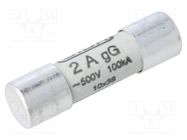 Fuse: fuse; gG; 2A; 500VAC; ceramic,cylindrical,industrial SIBA