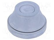 Grommet; with bulkhead; Ømount.hole: 48mm; EPDM; grey; Size: M50 SCHNEIDER ELECTRIC