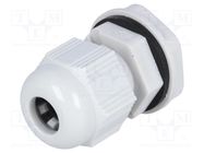 Pressure compensation device; plastic; IP66,IP67; M16x1.5 STEGO