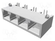 RJ11; socket; PIN: 4; Cat: Cat 4; low profile; Layout: 6p4c; THT MOLEX