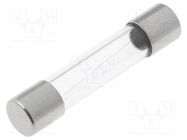 Fuse: fuse; quick blow; 1.6A; 250VAC; cylindrical,glass; 5x25mm ESKA