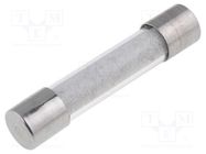 Fuse: fuse; time-lag; 2A; 250VAC; cylindrical,glass; 6.3x32mm; SPT SCHURTER