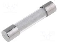 Fuse: fuse; 5A; 250VAC; time-lag; cylindrical,glass; 6.3x32mm; bag ESKA