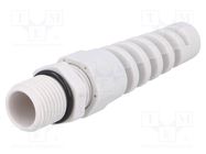 Cable gland; with strain relief; M16; 1.5; IP68; polyamide; grey BM GROUP