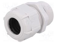 Cable gland; with long thread; PG21; IP68; polyamide; grey BM GROUP